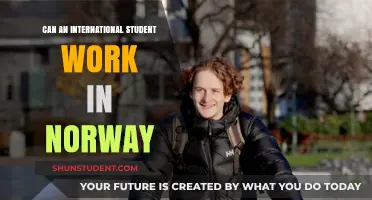 Working in Norway as an International Student: Is It Possible?