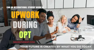 OPT Work: Can International Students Freelance on Upwork?