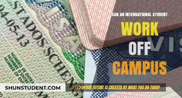 Working Off-Campus: International Students' Guide