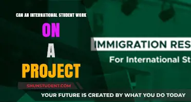 Working on Projects: International Students' Rights