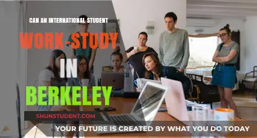 Working in Berkeley: International Student Opportunities