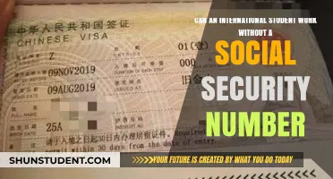 Working Without a Social Security Number: Options for International Students