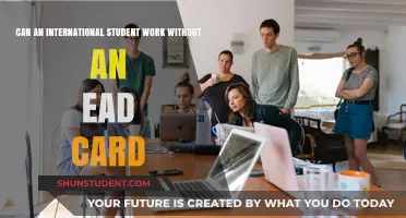 Working Without an EAD: Options for International Students