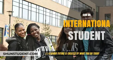 International Students: Can They Work in the US?