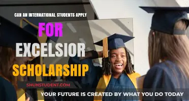 International Students: Eligibility for Excelsior Scholarships