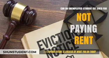 Unemployed and Sued: Rent Payment Woes for Students