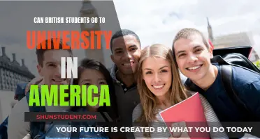 Studying in the US: A Guide for British Students