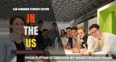 Interning in the US: A Guide for Canadian Students