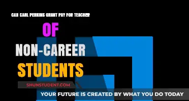 Perkins Grant: Funding Teacher Training for Non-Career Students
