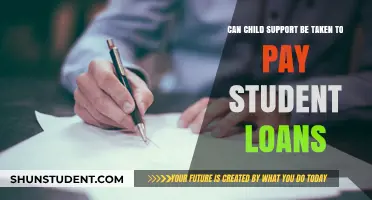 Child Support: Student Loan Payment Source?