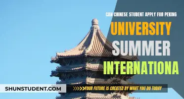 Peking University Summer Program: Chinese Students' Eligibility