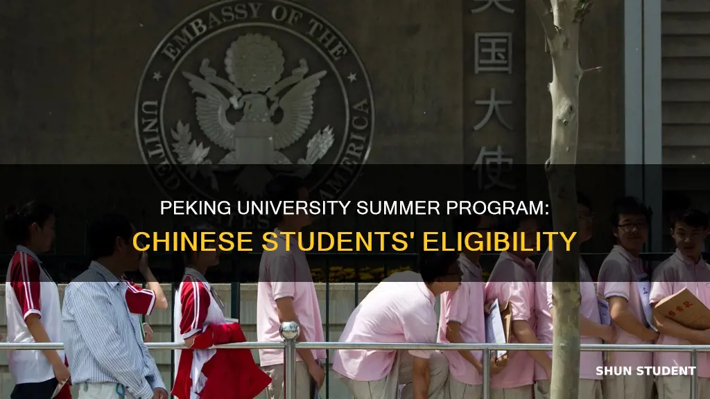 can chinese student apply for peking university summer international