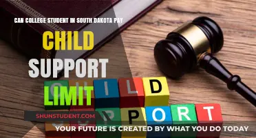 Child Support Limits: South Dakota College Students' Guide