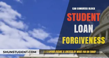 Can Congress Legally Block Biden's Student Loan Forgiveness Plan?