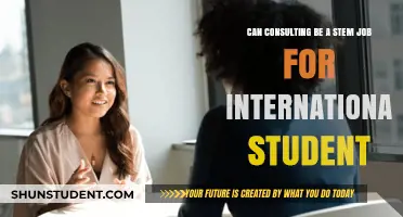 Consulting Careers: STEM Jobs for International Students?