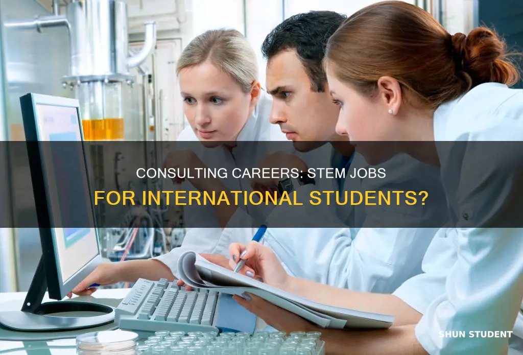 can consulting be a stem job for international student
