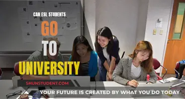 University Options for ESL Students