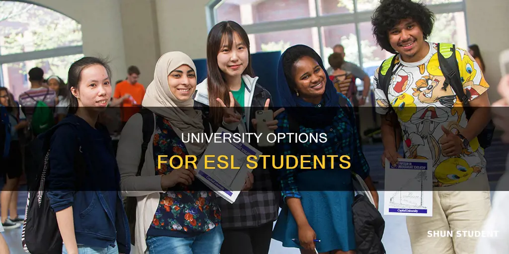 can esl students go to university