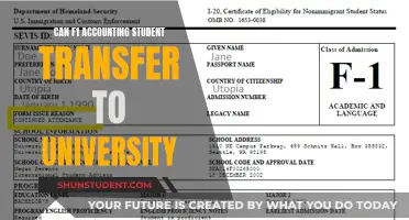 Transferring from F1 to University: Accounting Student's Guide