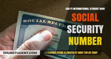 International F1 Students and Social Security Number Access