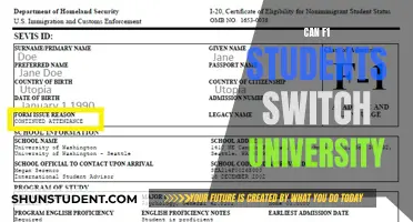 Switching Universities: Options for F-1 Students
