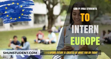 F1 Visa Students: Interning in Europe Made Easy