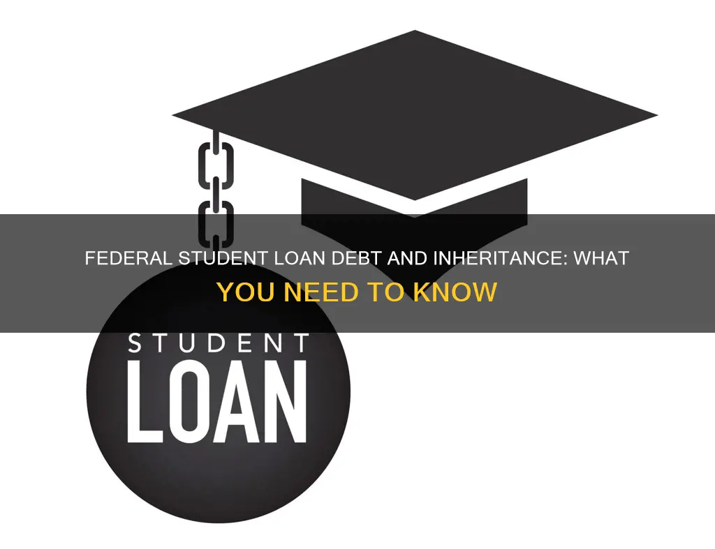 can federal government go after inheritance to pay student loans
