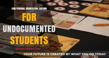 Federal Grants: Tuition Aid for Undocumented Students?