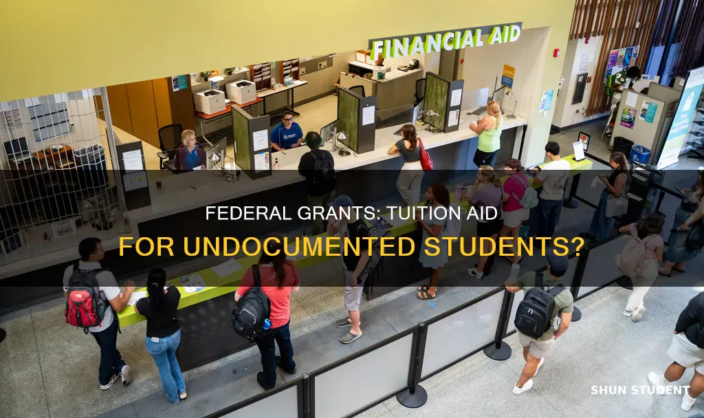can federal grants pay tuition for undocumented students