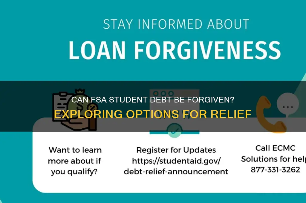 can fsa student debt be forgiven