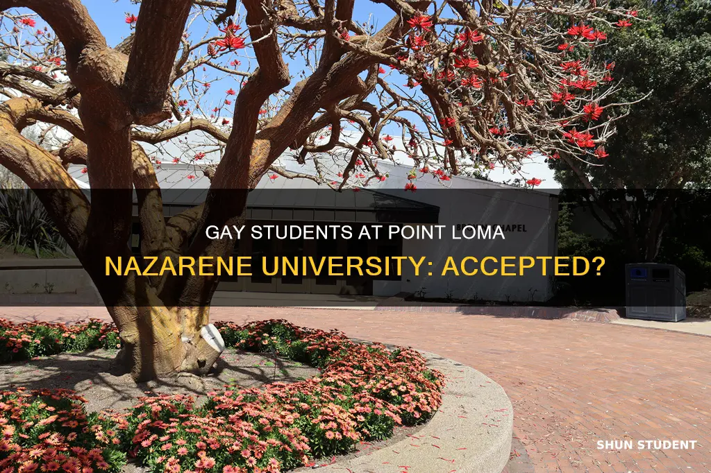can gay students go to point loma nazarene university