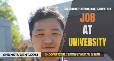 International Graduate Students: University Job Prospects