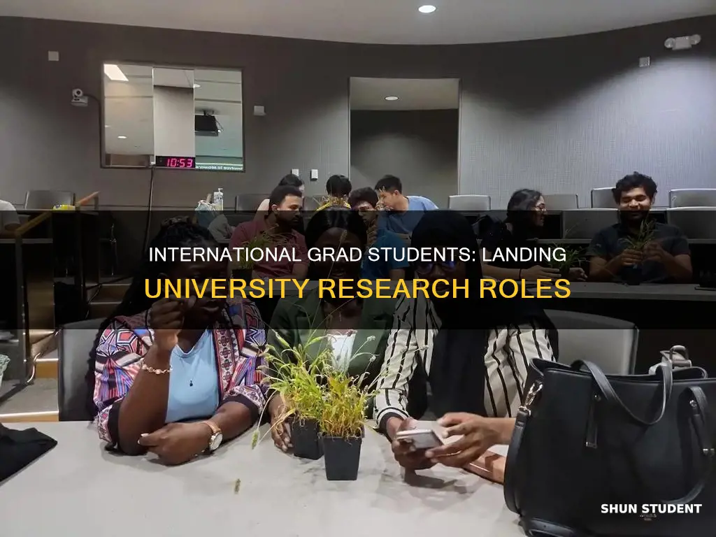 can graduate international students get research job at university