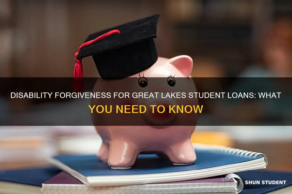 can great lakes student loans be forgiven for disability