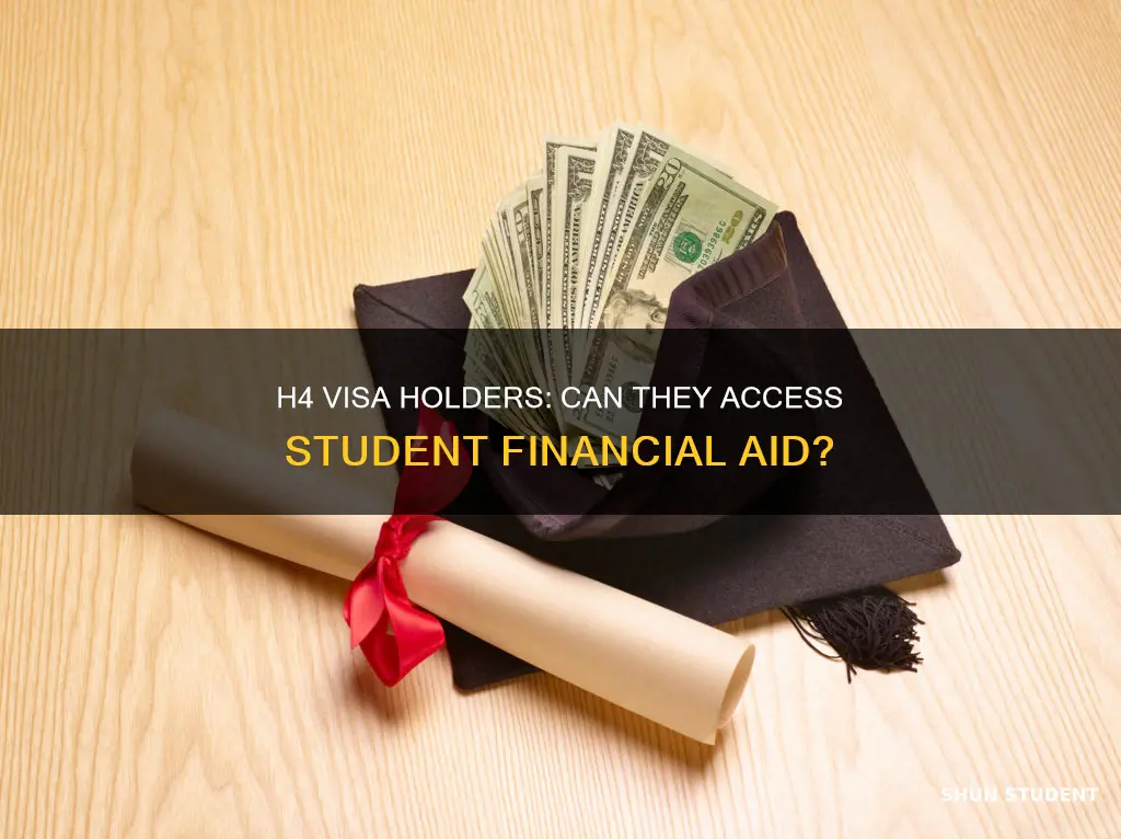 can h4 students apply for international student financial aid