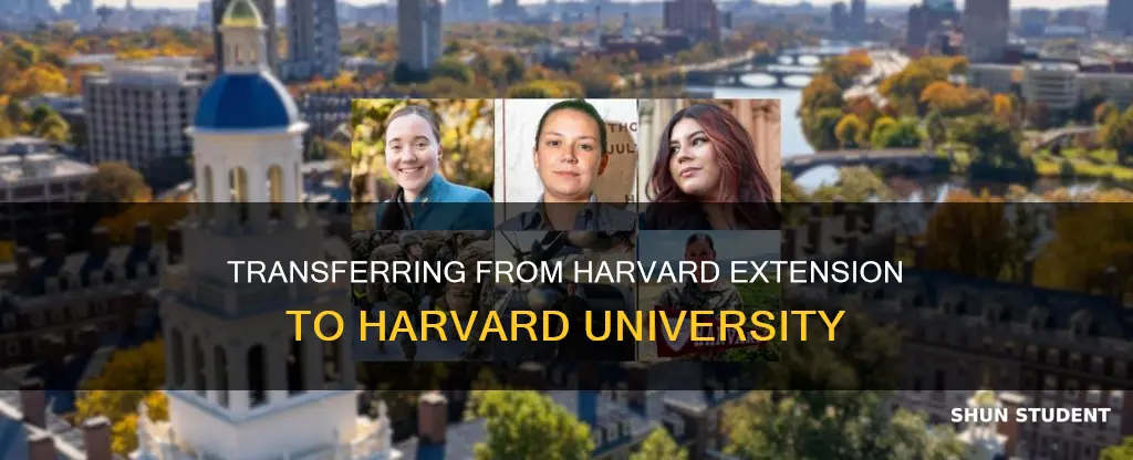 can harvard extension student transfer to harvard university