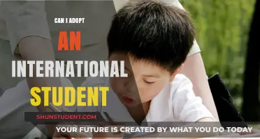 Adopting an International Student: Is It Possible?