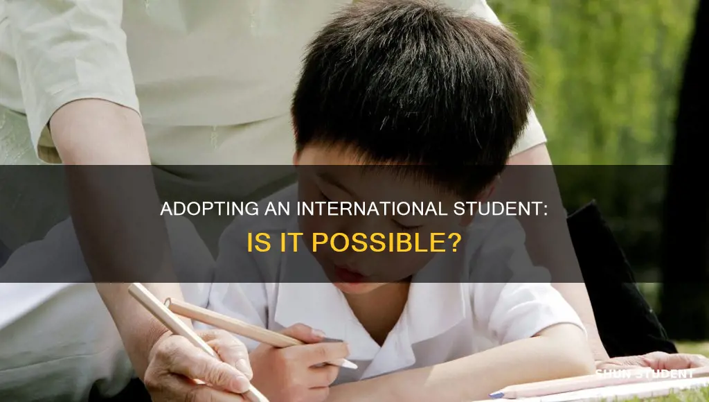 can i adopt an international student