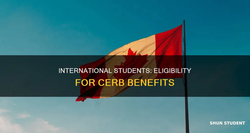 can i apply for cerb as an international student