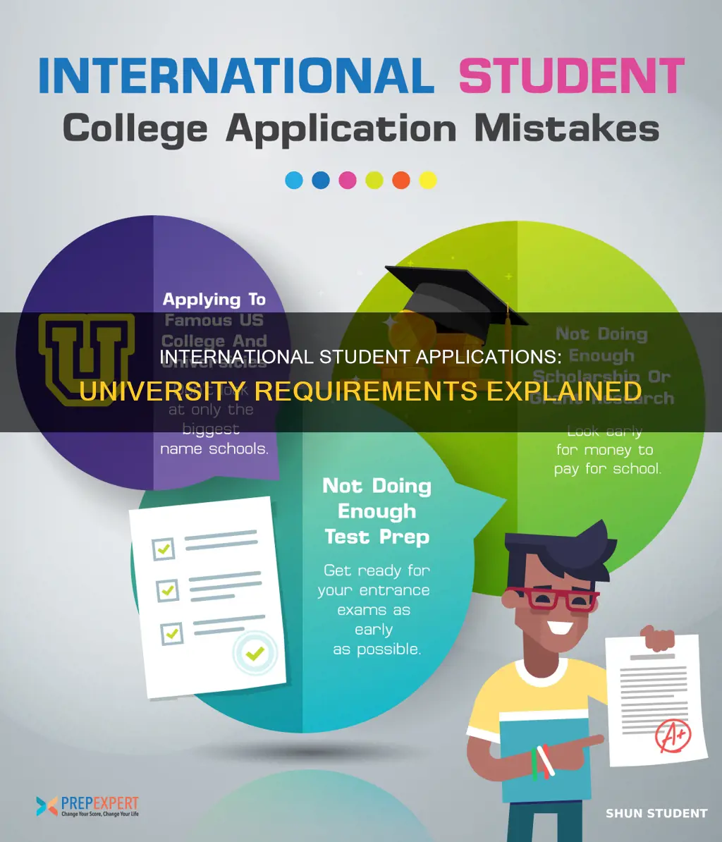can i apply to a university as an international student