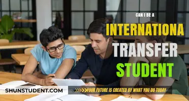Transferring Abroad: A Student's Guide to International Transfers
