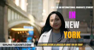 Graduate Studies: International Students in New York