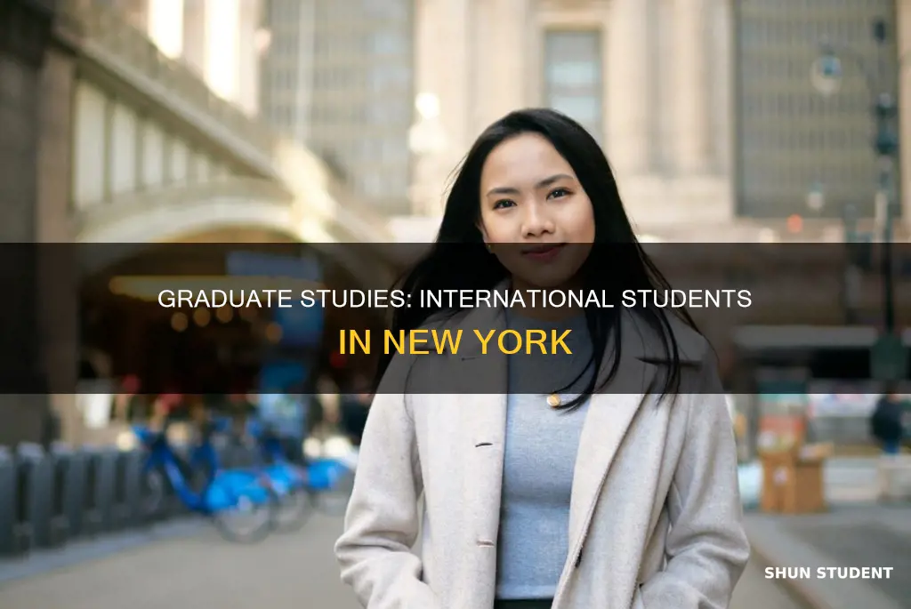 can i be an international graduate student in new york
