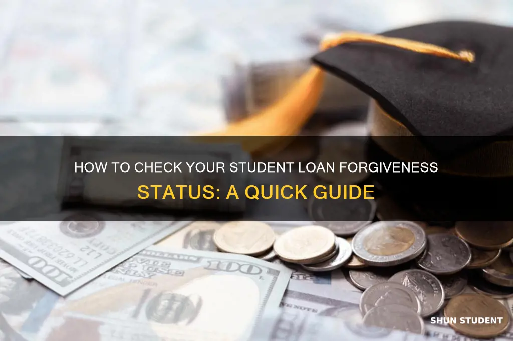 can i check the status of my student loan forgiveness
