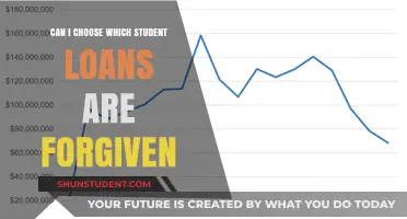 Selecting Student Loans for Forgiveness: What Borrowers Need to Know