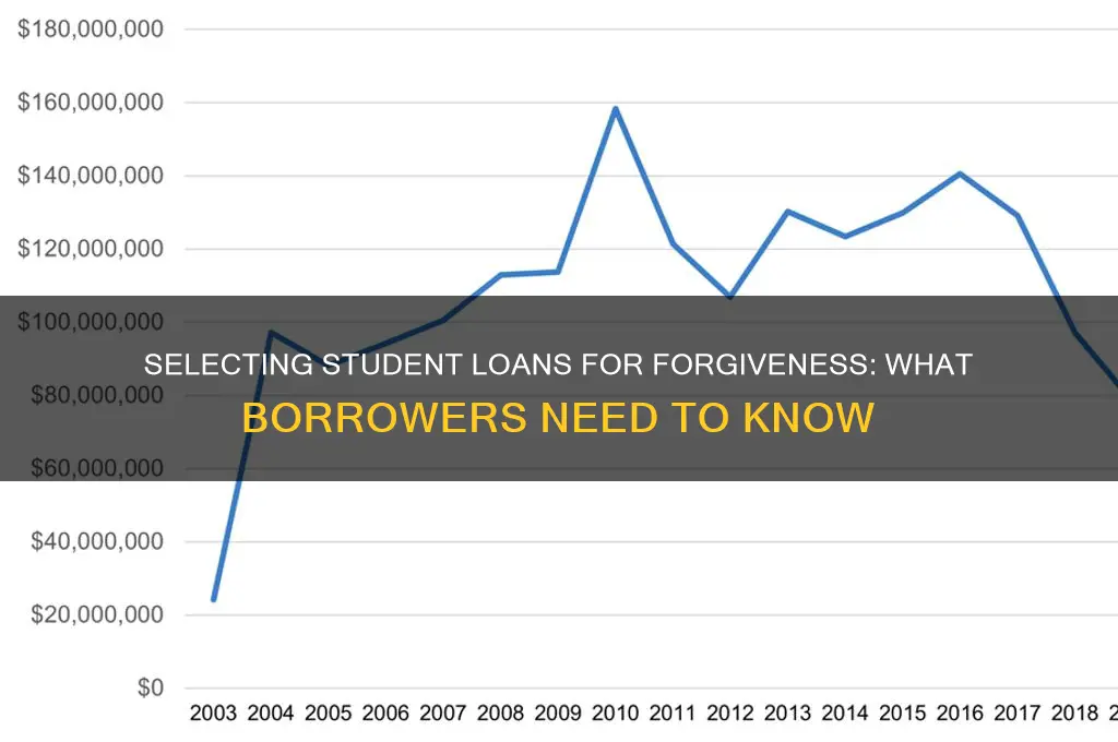 can i choose which student loans are forgiven