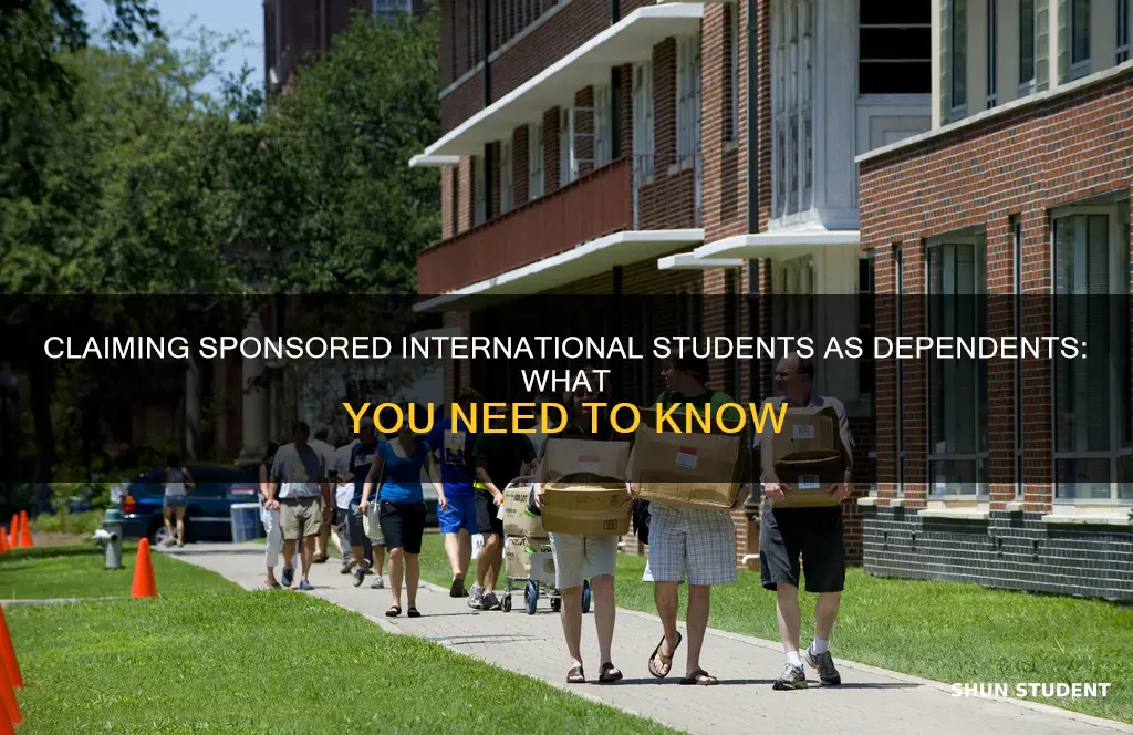 can i claim a sponsored international student as a dependent