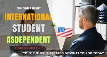 Claiming an International Student as Dependent: What You Need to Know