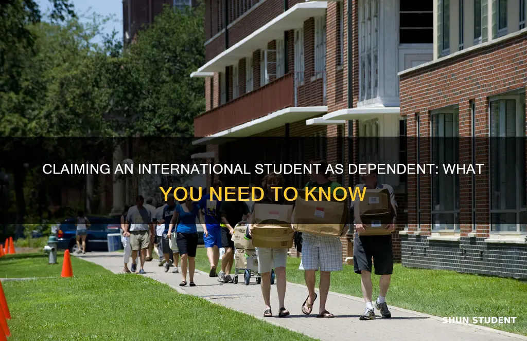 can i claim a student international student asdependent