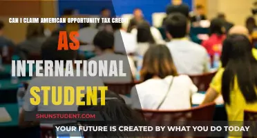 Claiming Tax Credits: International Students and AOTC